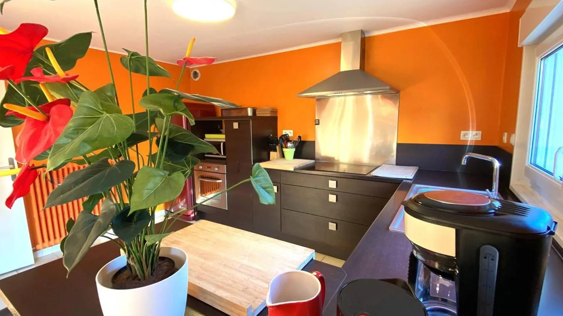 Maison Moderne A Deux Pas De La Plage Avec Jardin Et Parking A Tregastel - Fr-1-368-451 0*,  France